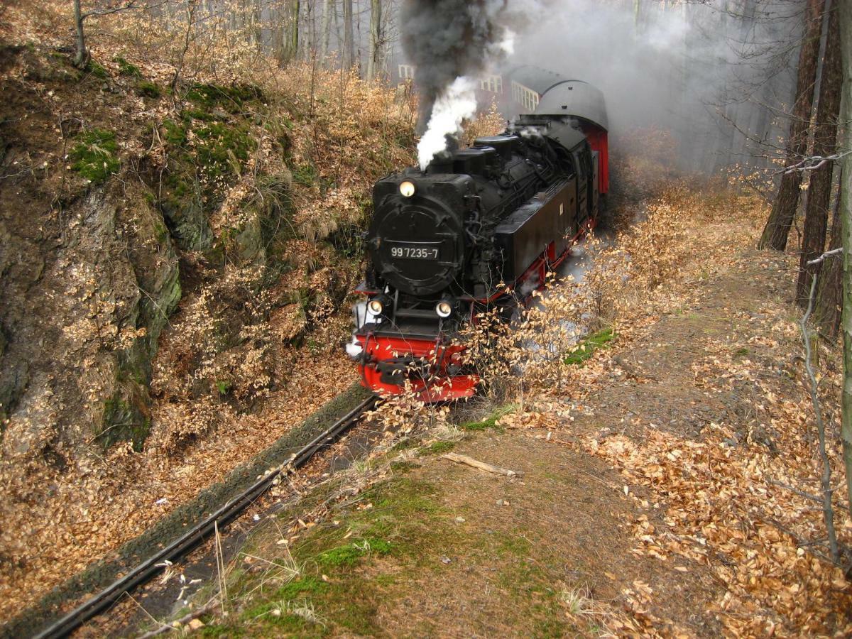 Ferienhaus Am Westerntor I Wernigerode Bagian luar foto
