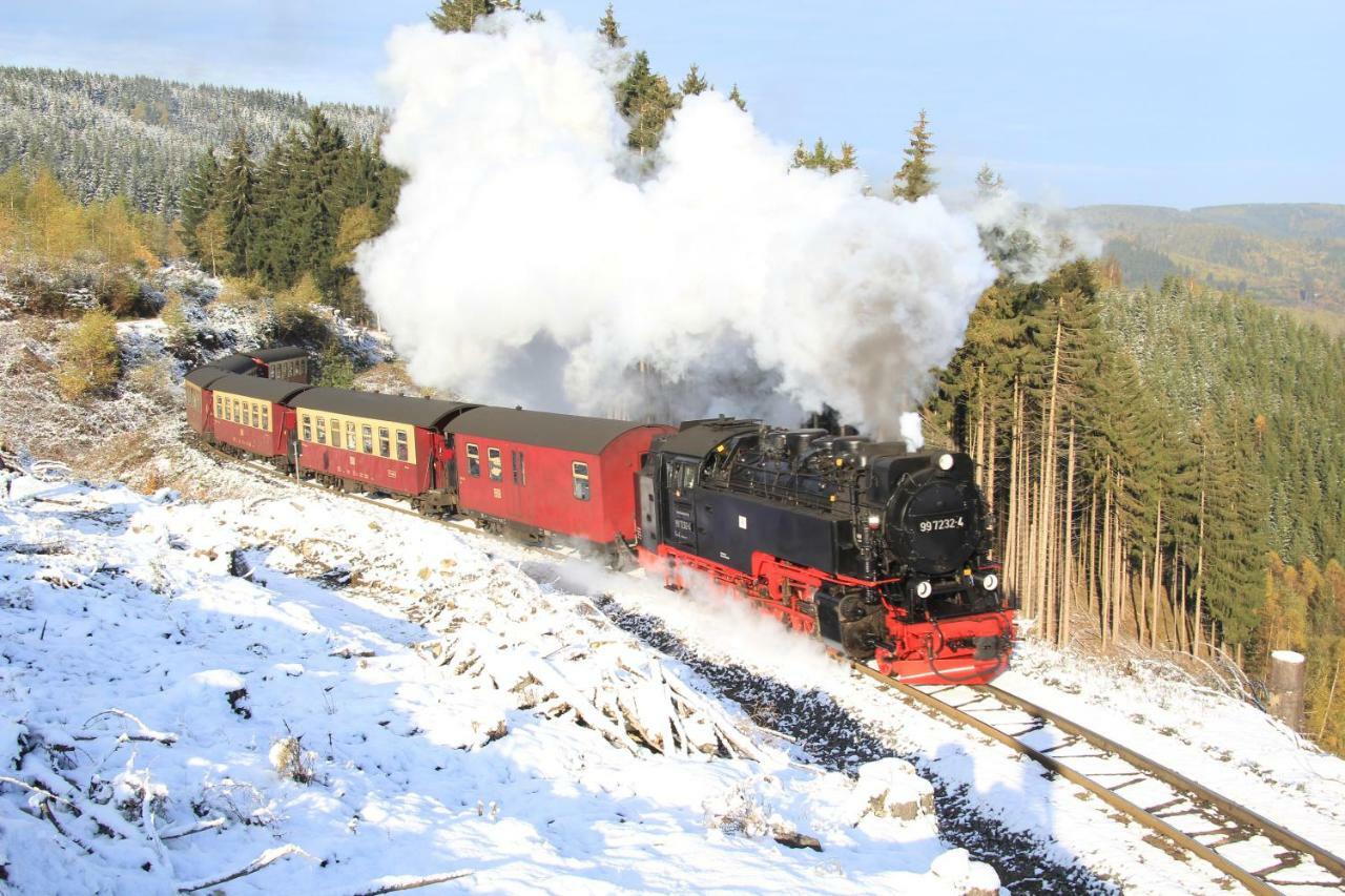 Ferienhaus Am Westerntor I Wernigerode Bagian luar foto